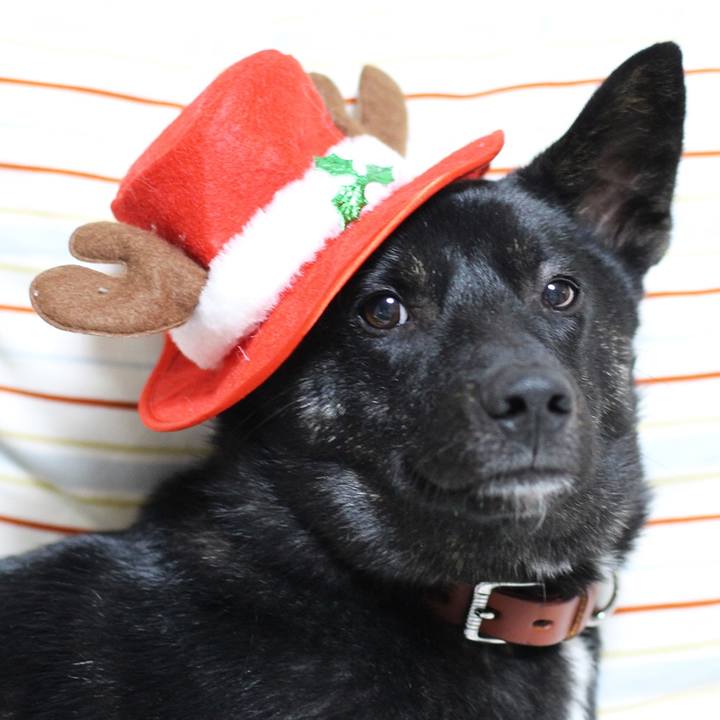 Fd0bbfc6 f588 47e6 b9de ff5395a91cac