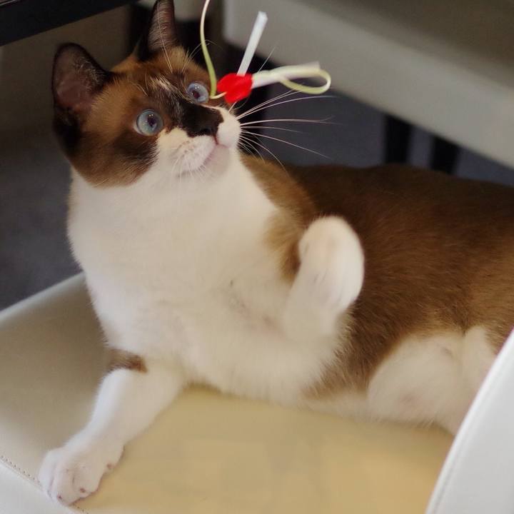 Fd0be88c 94c2 48b0 a5ae 22aa35708377