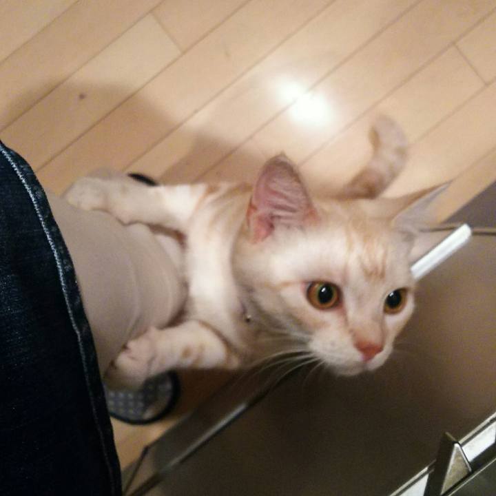 Fd0c3289 4faa 43c7 9e22 16521112fadb