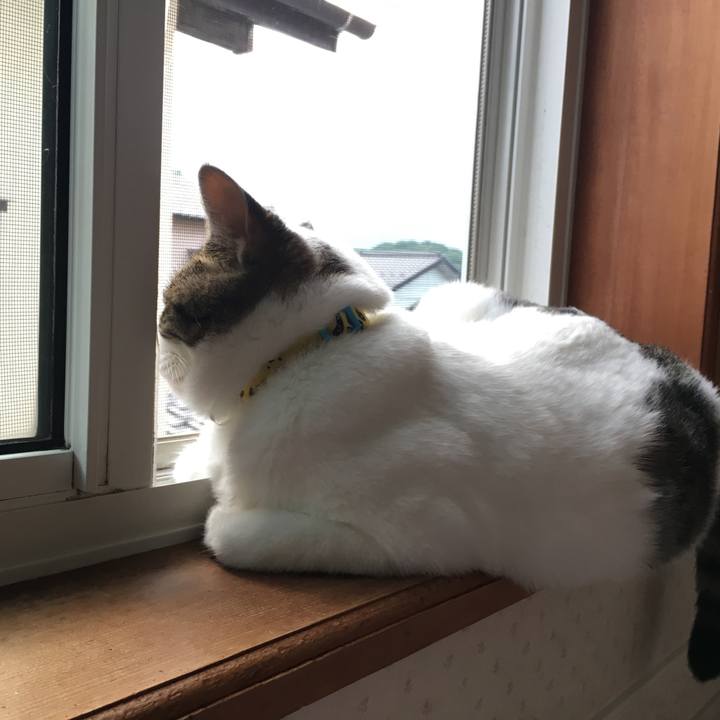 Fd0c6538 4996 47ed 9662 18b05ec4df0c