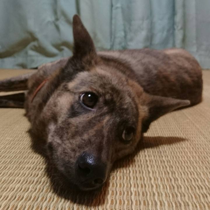 Fd0d4a70 c0e0 4e2a 92fc 82113f969164