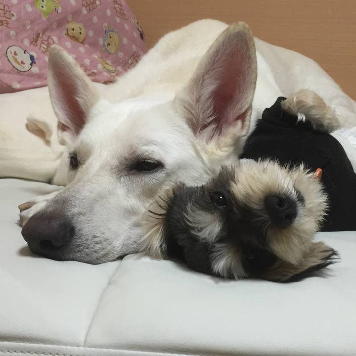 Fd0db135 c4a4 472d 967d d8f9c6595173