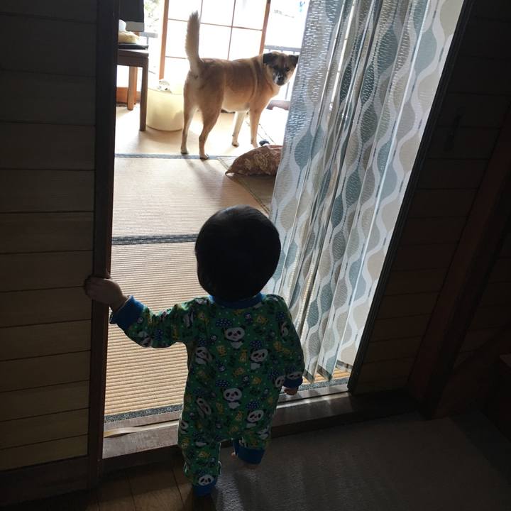 Fd0e001d 8720 4978 84ec df9f62f8d48d