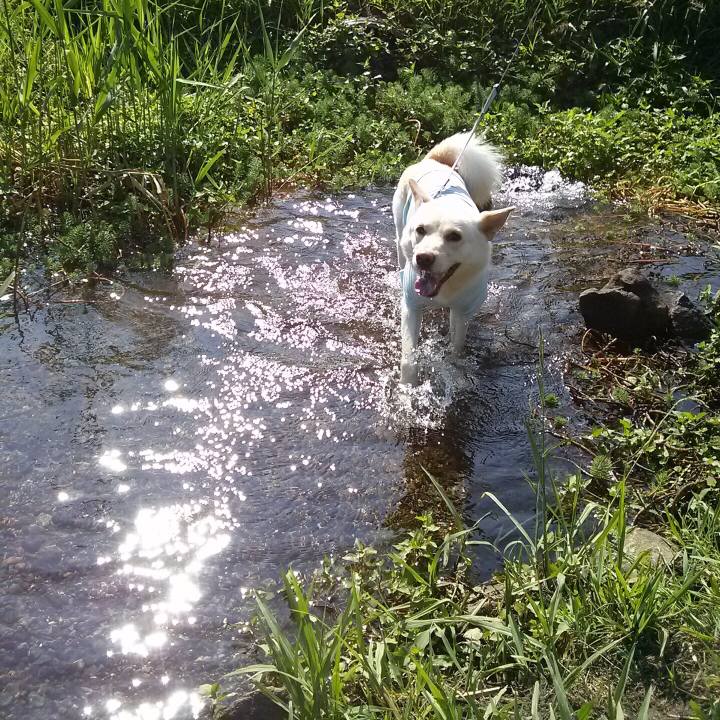 Fd0e23d6 6244 40d1 b16c 6c9ede48a4e0