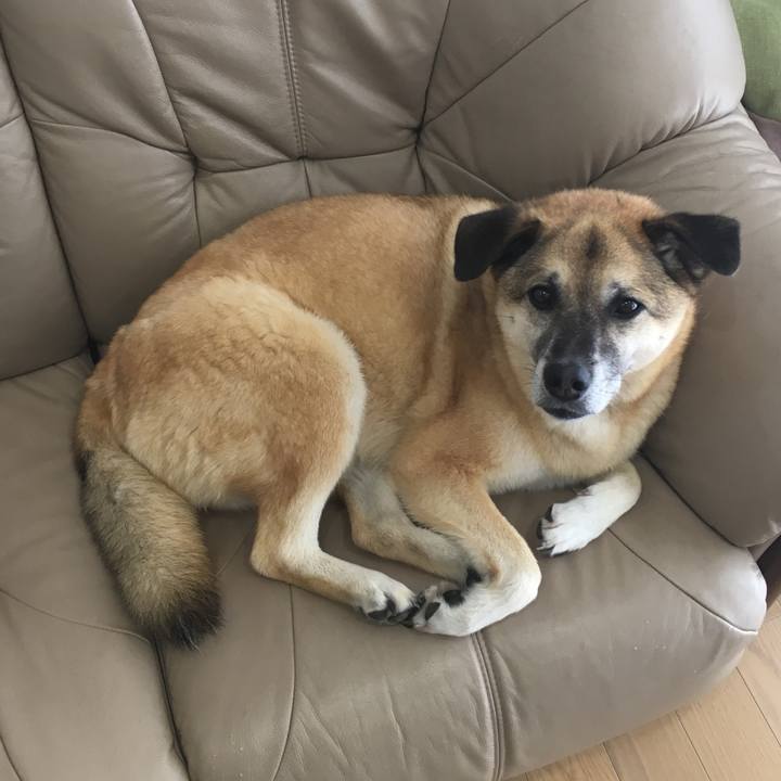 Fd0e2c92 9459 4501 b1d1 205d7359a254