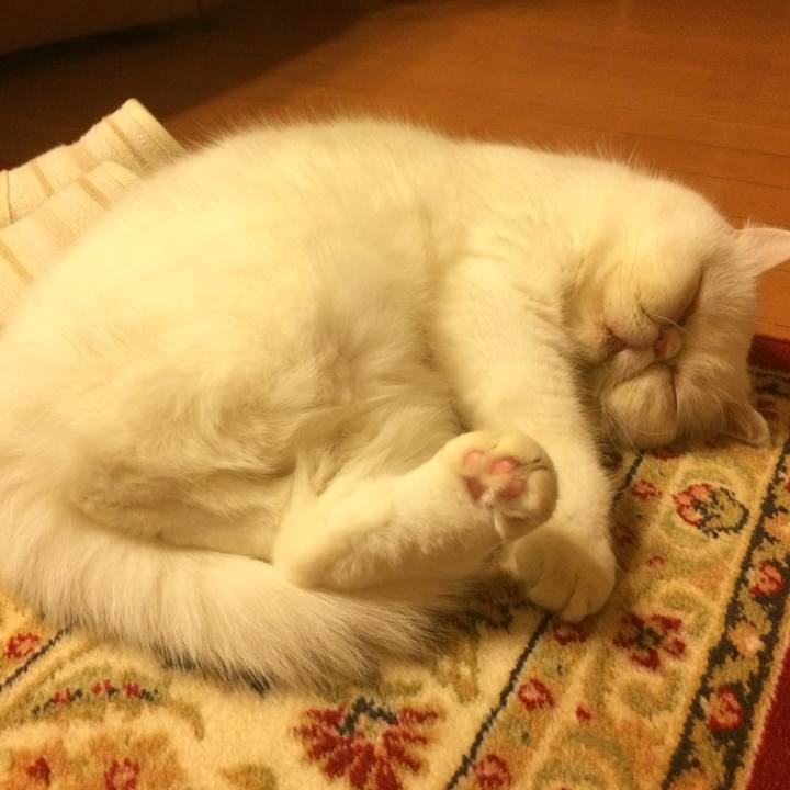 Fd0e37c3 999c 4f30 8039 a6f925678d6b