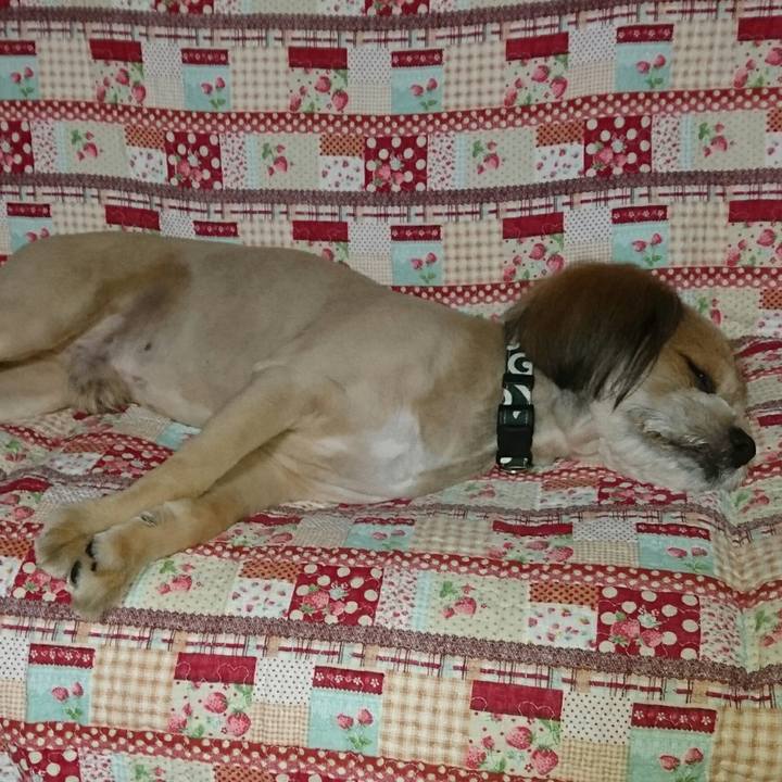 Fd0eca38 f629 484a bd1c 0feb38b5c721