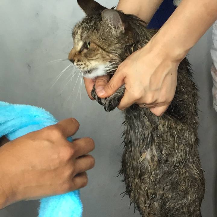 Fd0edcbf 7371 4209 80fa e6cb1565e664