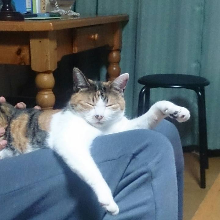 Fd0ee7a4 98d4 4b76 8718 ab606b8a85e2