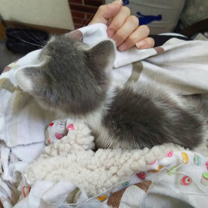 Fd0f3178 58bc 402f ae7d 90e8c639989c