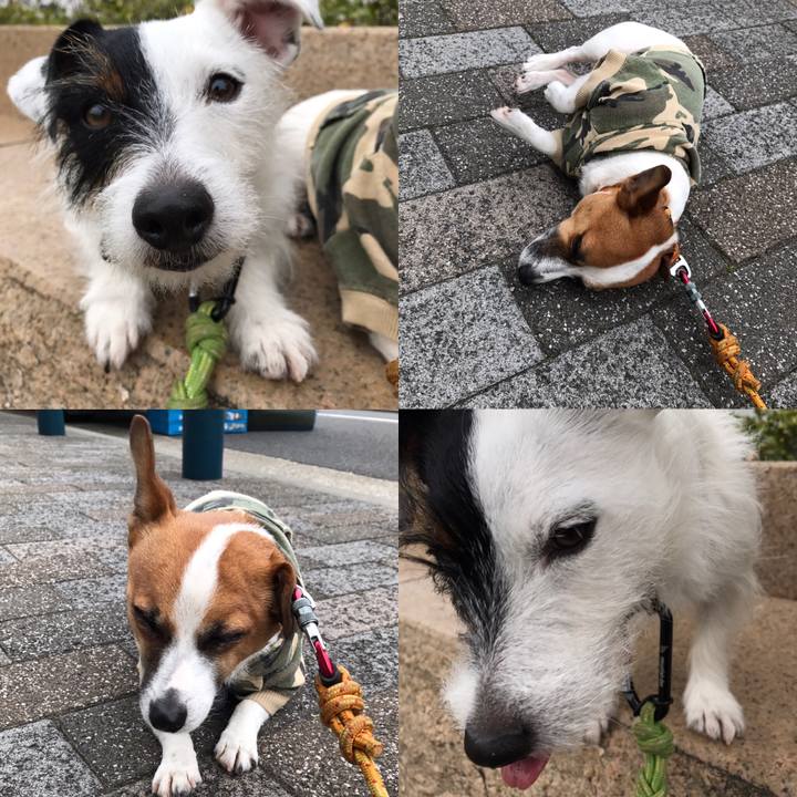 Fd0f5dc8 9a35 4c13 ad11 4da0897e5e5e