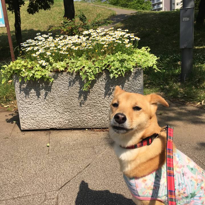 Fd0fc5c8 b511 434b 9e03 bf4b7f3b381f