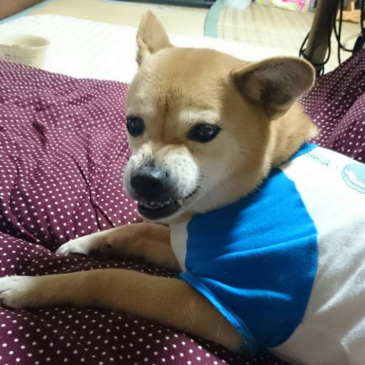 Fd10caf3 0d3d 4e57 a7df e7afb9c1ed03