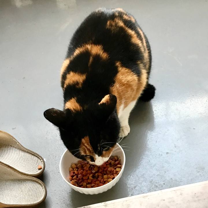 Fd10d6fb 5b88 42bc bb1c d9ab00d80c7a