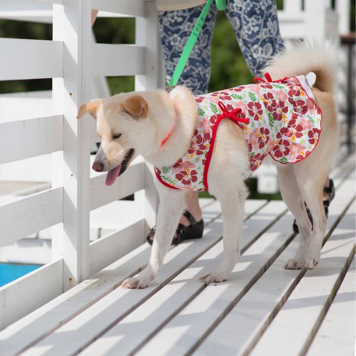 Fd11ca48 1573 4fcb a6cc 93f59f95fd2f