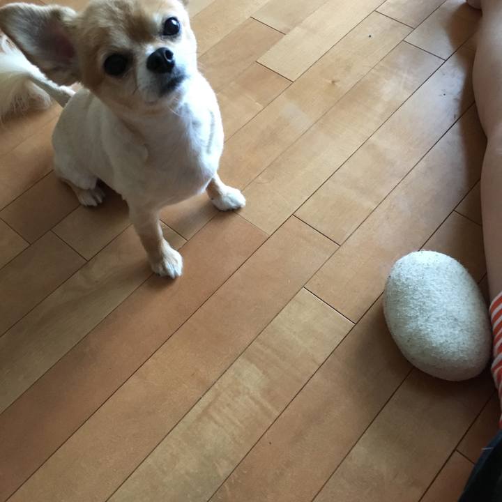 Fd1243e5 b6fb 4e3e 9061 91ae06a35423