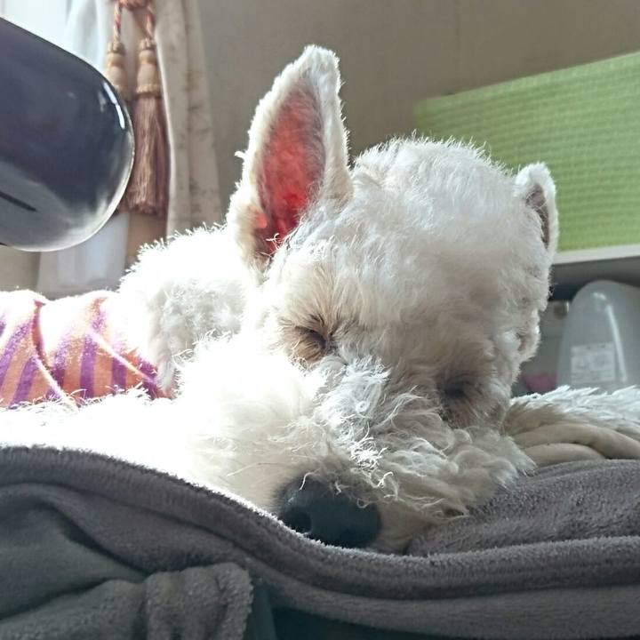 Fd13be75 9223 4729 af9c 7551e57831e2