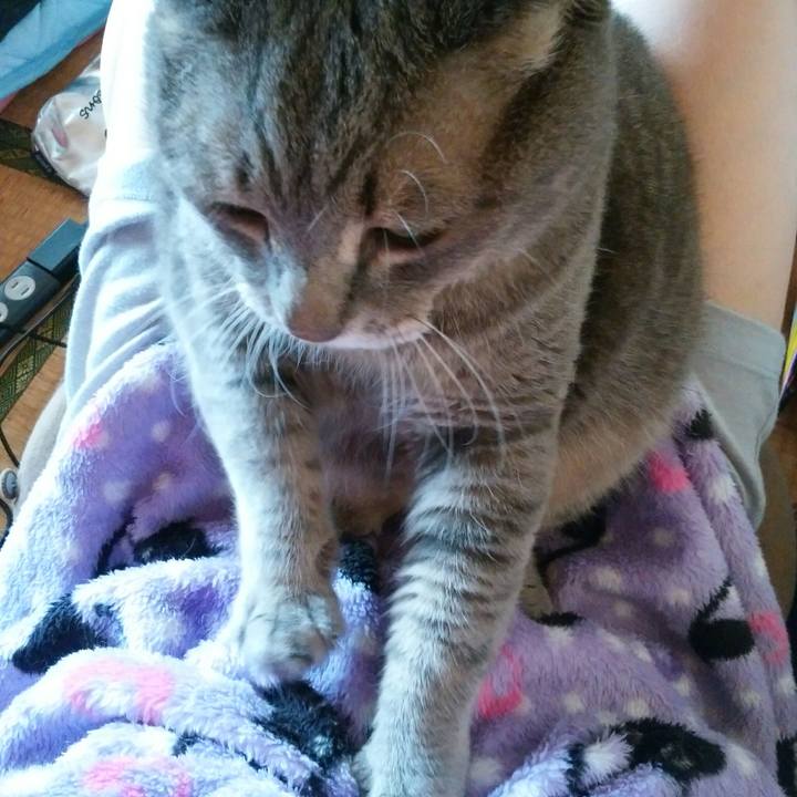 Fd13c66f bbf0 46c1 94e3 ccaa55eec70b