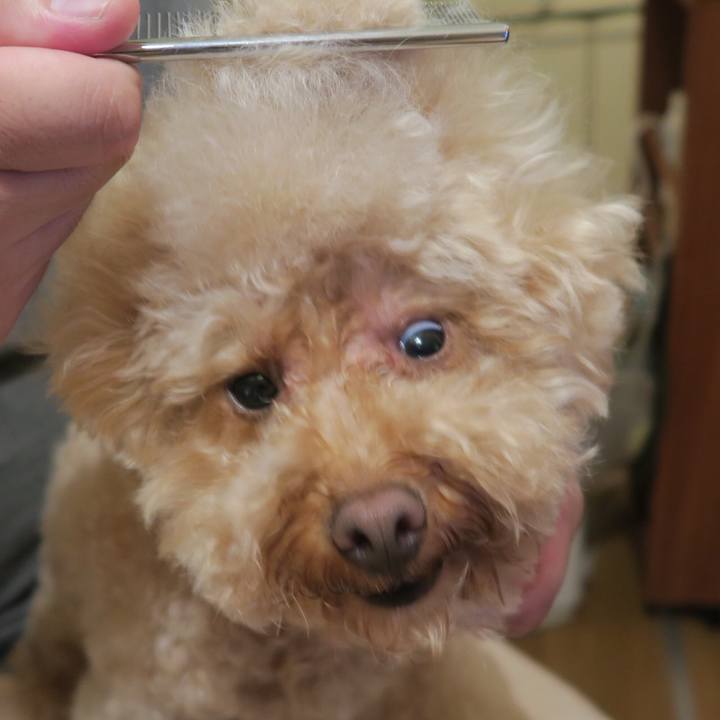 Fd13c95d 0bd3 4d58 9eca 3cc0188682b7