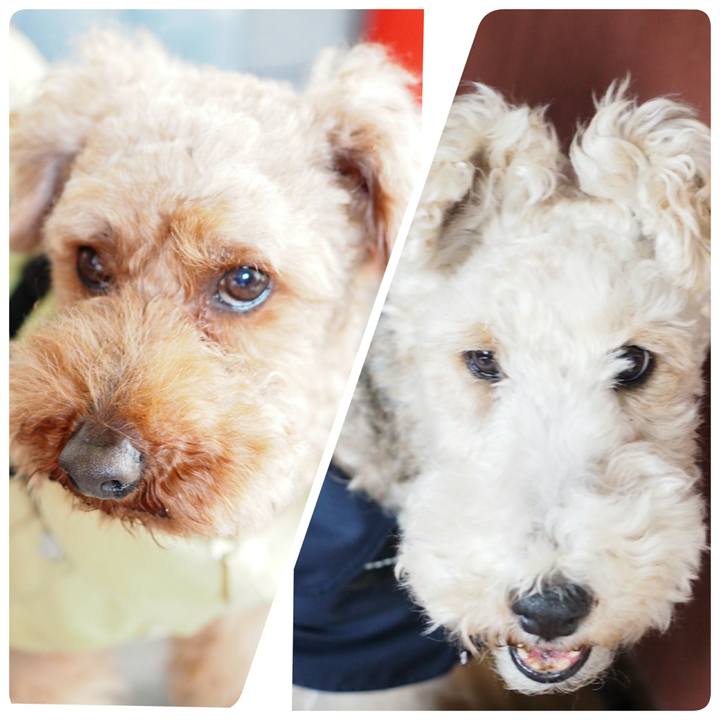 Fd13cdc6 1d48 492e 9f77 7b04492e92ca