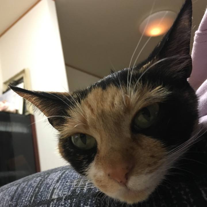 Fd13e5f8 da5e 4f1a a10a c5c15bccd5fe