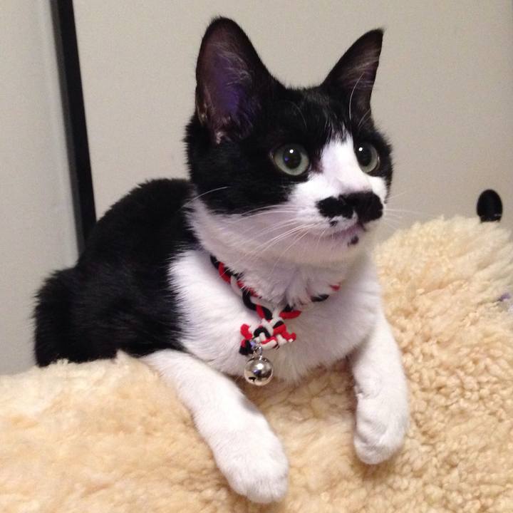 Fd141090 c969 4941 9b93 30bc320d7a66