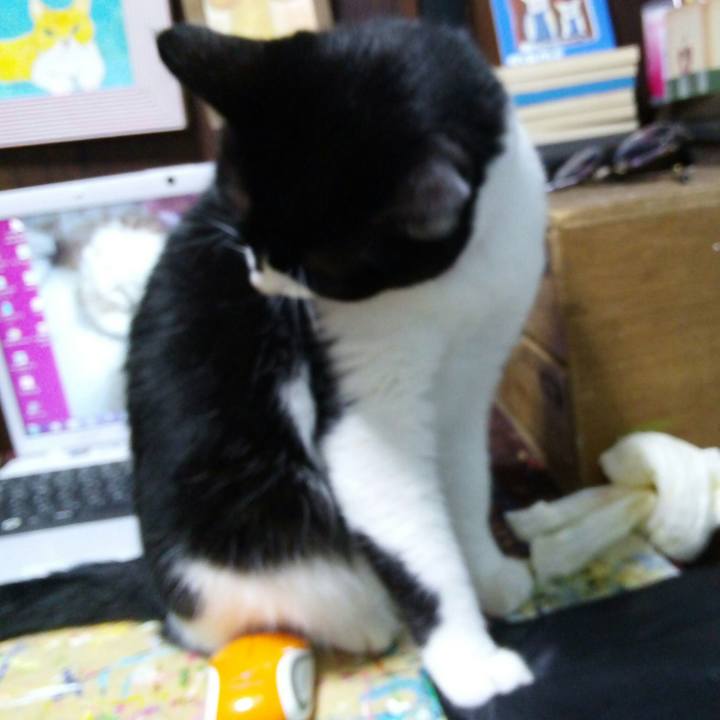 Fd1410f7 f7ca 432d 9e43 77ccd4dd2501