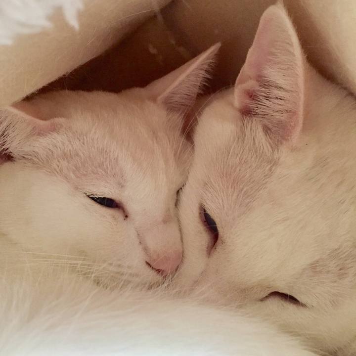 Fd1448b5 250f 4a97 8b37 d23da150ea2d