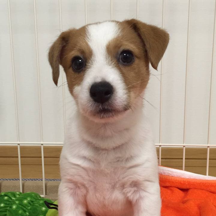 Fd149de8 4335 453b bc40 514e4a5fe37f