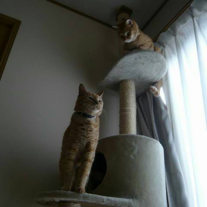 Fd14e9a5 2411 4bbb a05b 5dd5cc7e6125