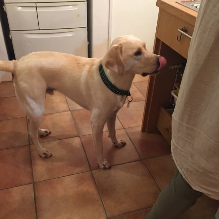 Fd15a9de bc2d 4adb 8d70 3ee78e1dc589