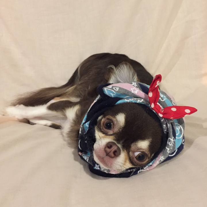 Fd15ade1 8e27 487e 96c3 61ccc4b8ce4e