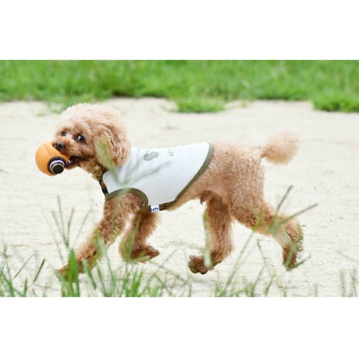 Fd16d2b4 1d3e 4486 91c3 1e84e1f4904d