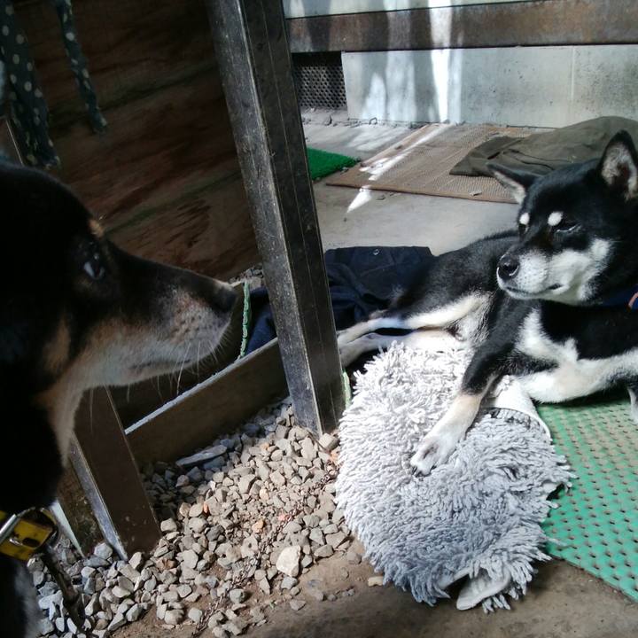 Fd172171 6f93 48ce b01f 5136379722dd