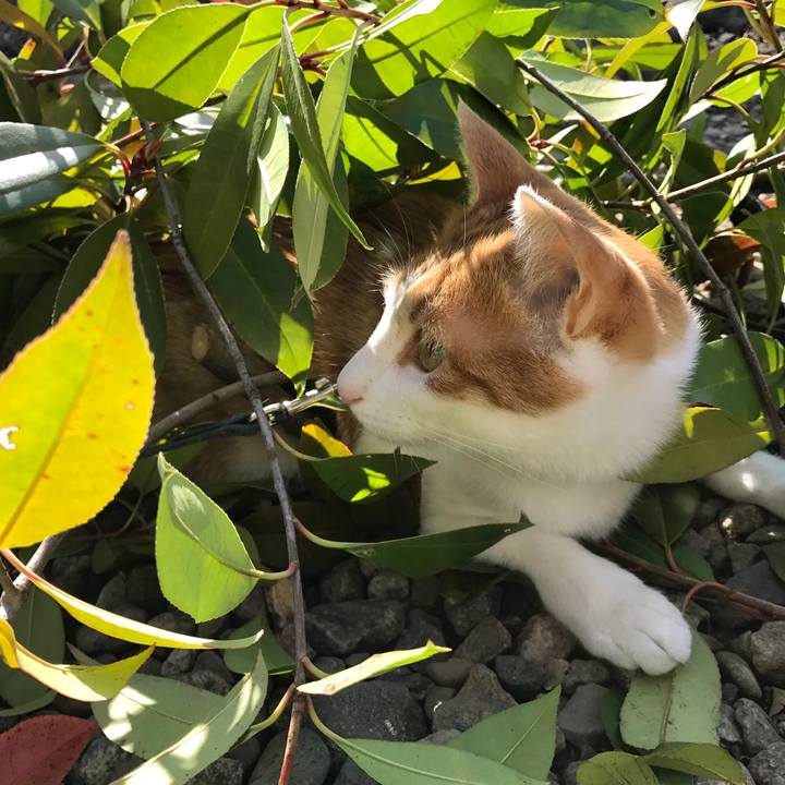 Fd172fee b87f 49bf ae88 02f4bbcd0295