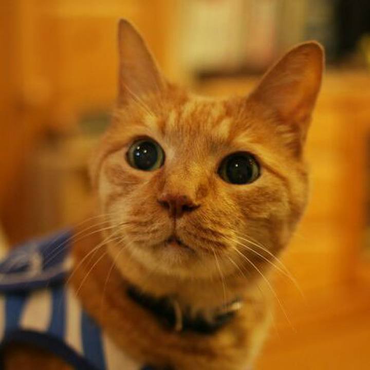 Fd17b634 a9da 461f b09f facc81ed003b