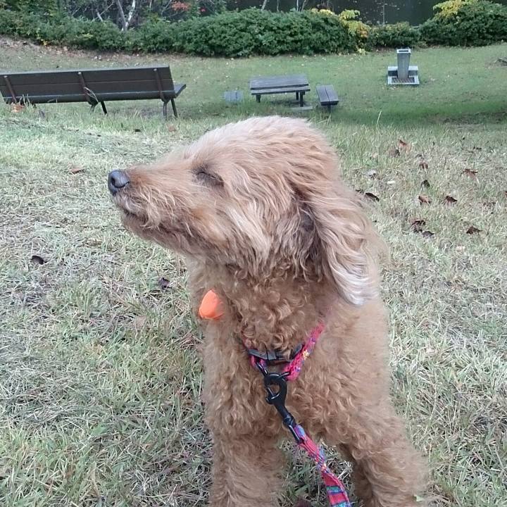 Fd17d0d0 365a 4d5e 88d2 4df21ddcaa82