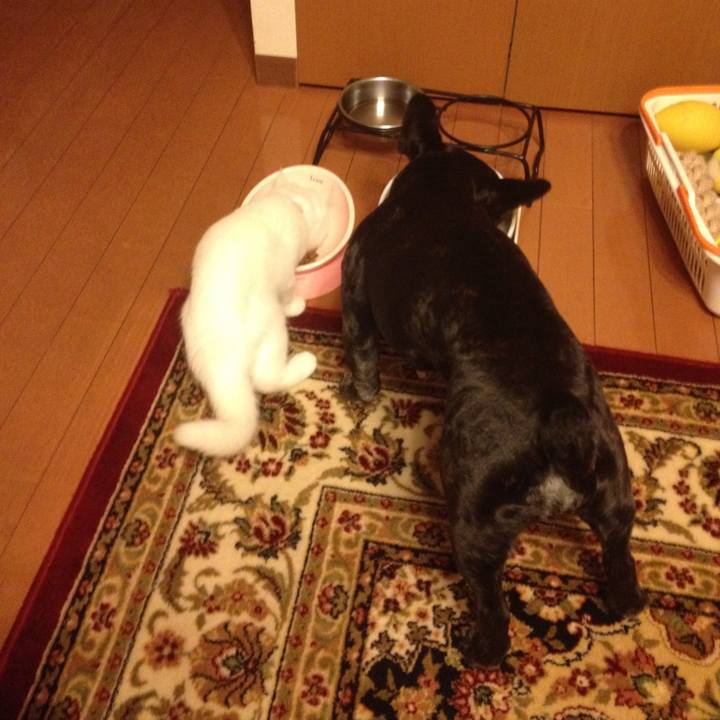 Fd180153 fb2b 4578 8ad5 7b32bfc5ccdf