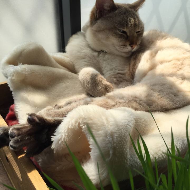 Fd18347a 271e 438c a7e1 c902483145ab