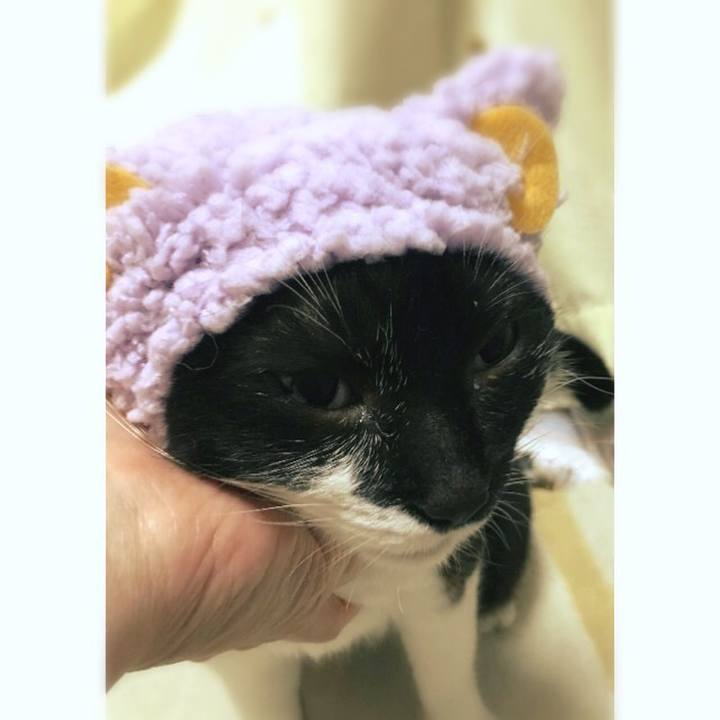 Fd183f41 071f 4bc6 9760 3bf916e7b419