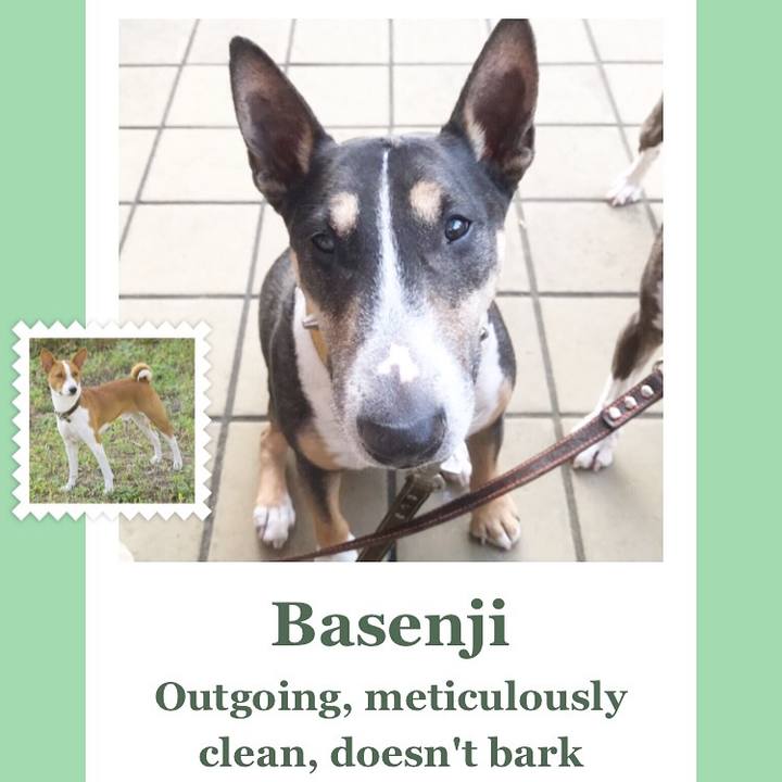 Fd189ceb 07c5 4021 a750 1bcd6b9cedd8