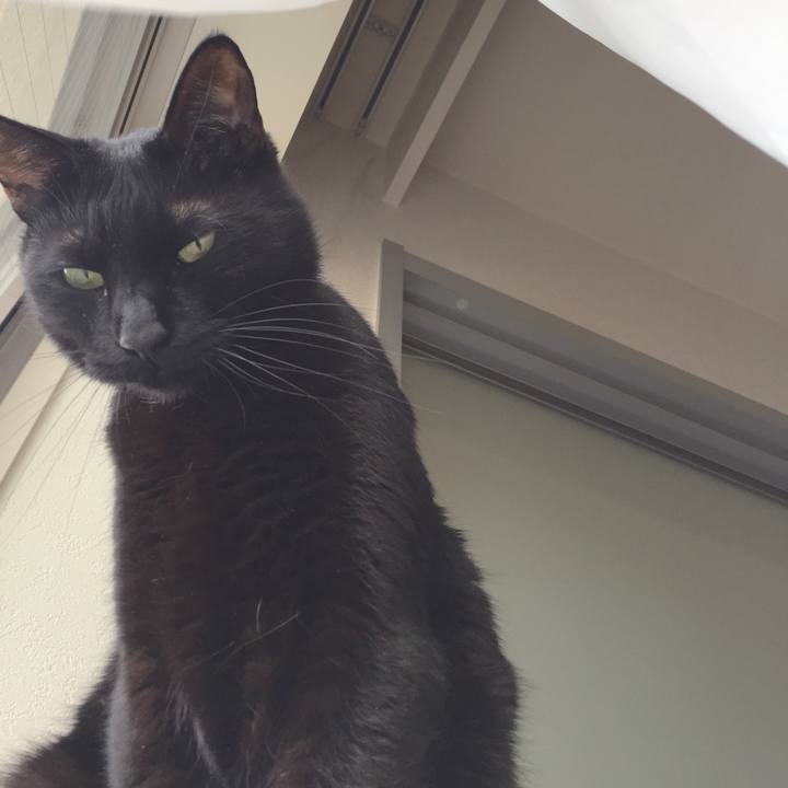 Fd193576 7855 4dc3 b9da 7d915681691b