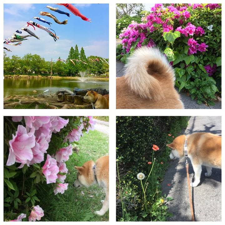 Fd193cb1 59e3 406e 84e0 18235a99ad4e