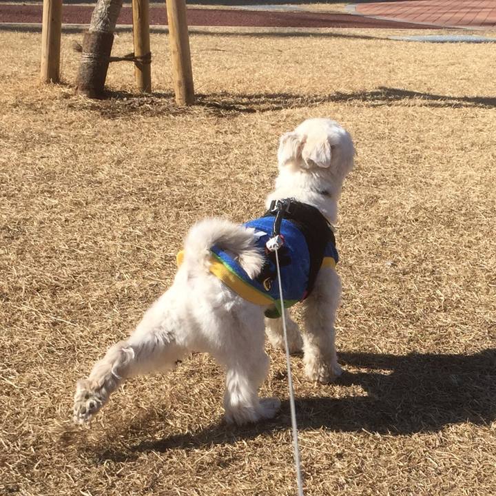 Fd197634 1b33 4c4e 8e35 65d7b0ff94e0