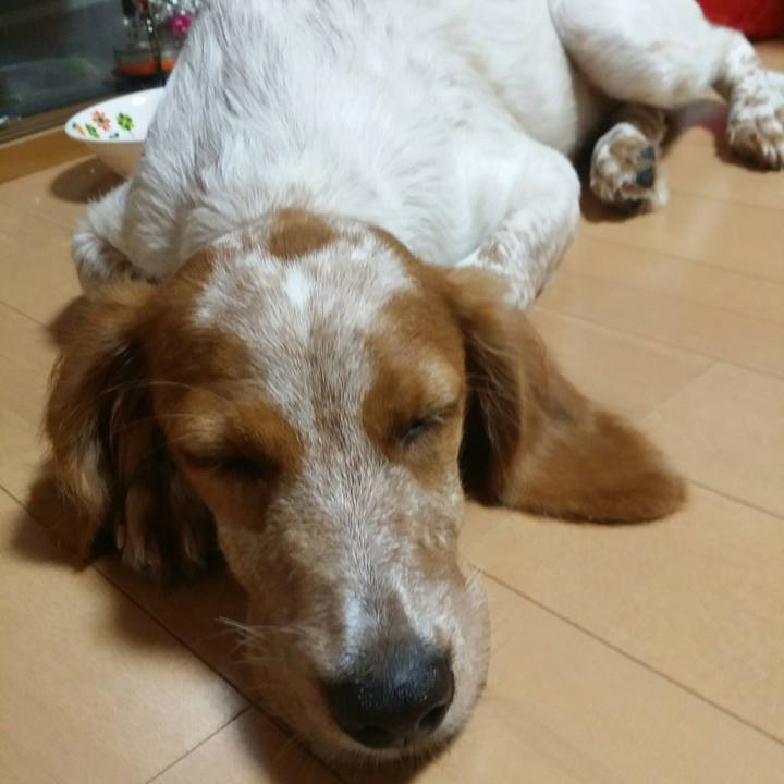 Fd197bc2 e779 44f3 bd95 985f08e7019a