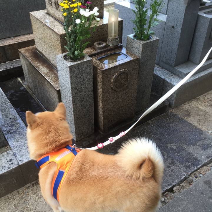 Fd198e65 a314 41df ab85 88862fd02b19