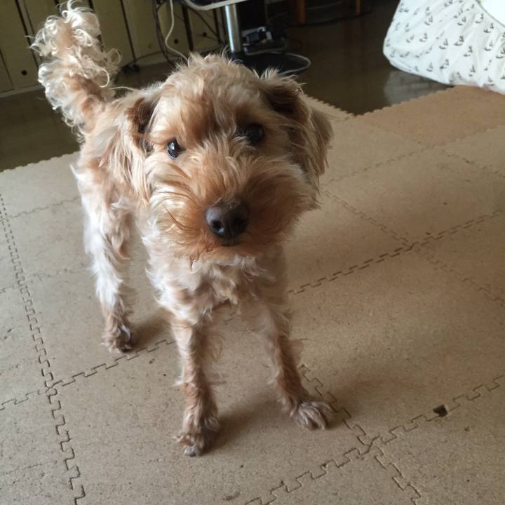 Fd1a3787 ac90 4f74 b5ea 9d8fb1efbb22