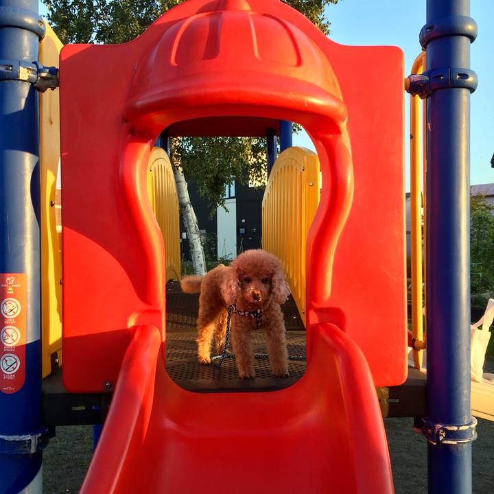 Fd1aa1e9 1faa 461d b79a 1867f2ebeb5f