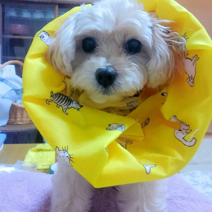 Fd1bb57d d5b1 4f2a 9b45 34007f6be4d7