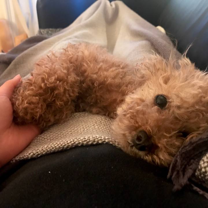 Fd1bce87 1363 4e16 8b3d 756145945fcf